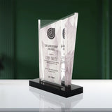 Leadership award on a reflective surface with a green curtain background