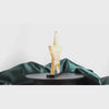 A 360 degree rotating video of the star of excellence award.