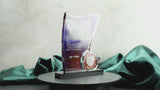 The Momentum Award